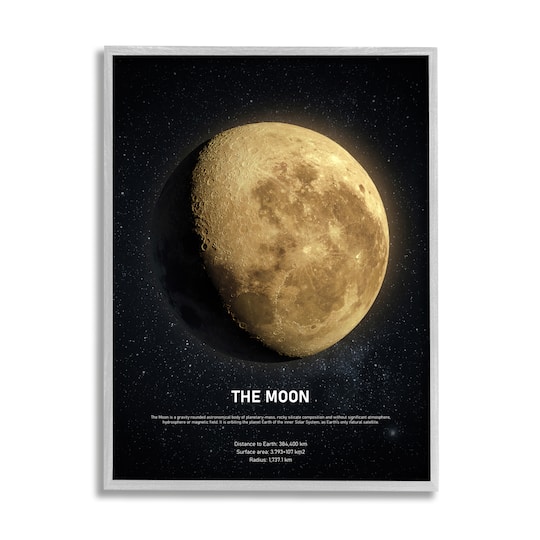 Stupell Industries Earth's Moon Celestial Facts Wall Art in Gray Frame